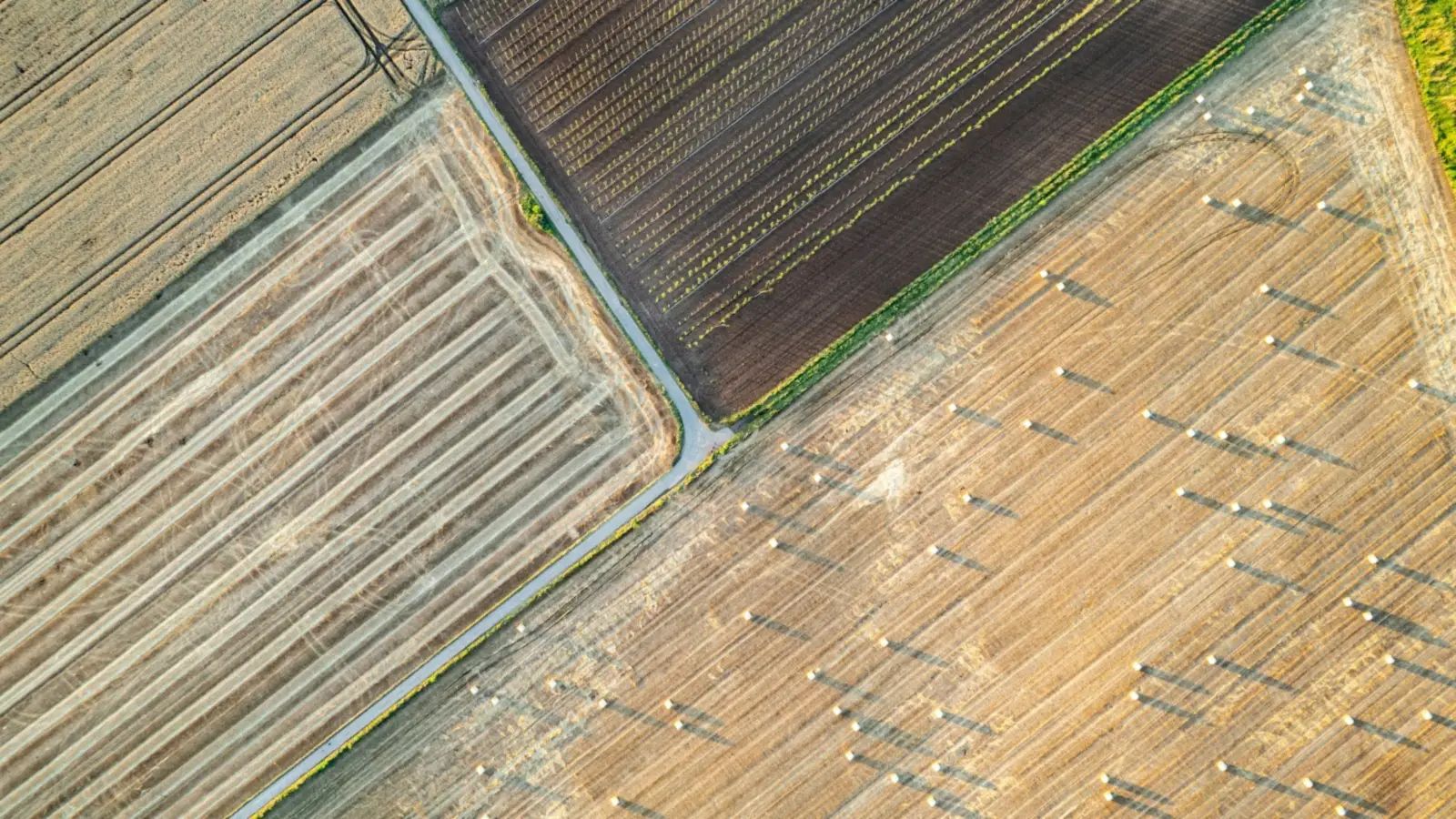 Vista aérea cenital de parcelas agrícolas, como la que se obtiene en un vuelo fotogramétrico con dron